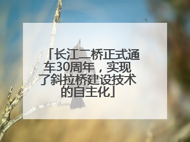 长江二桥正式通车30周年，实现了斜拉桥建设技术的自主化